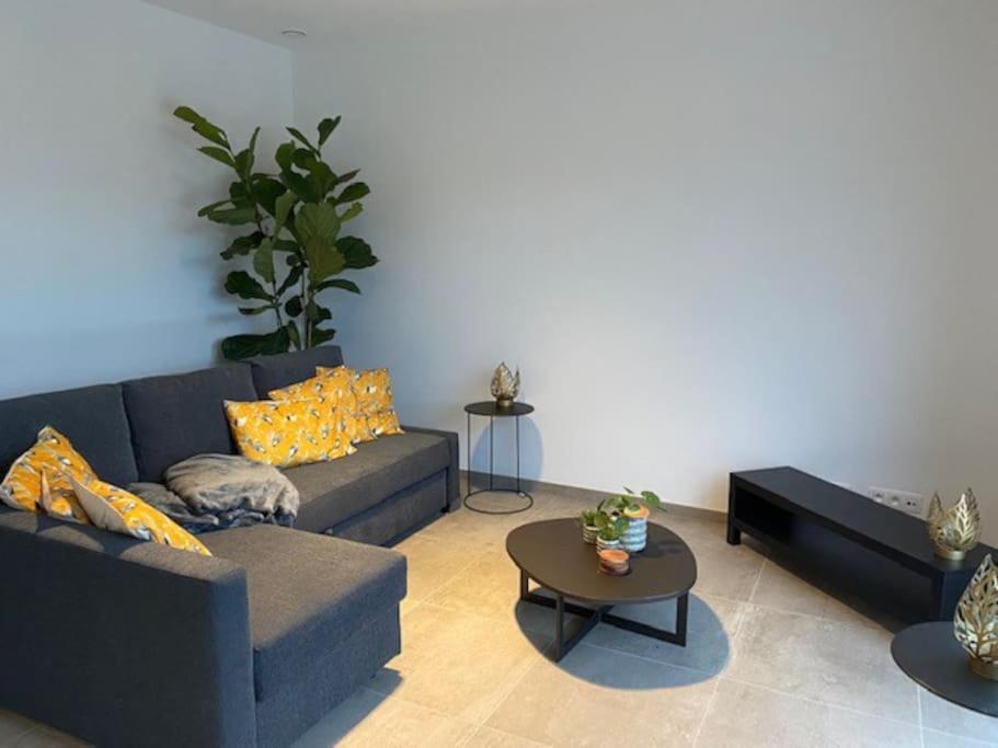 Ruim Gezellig Appartement Zwalm 외부 사진